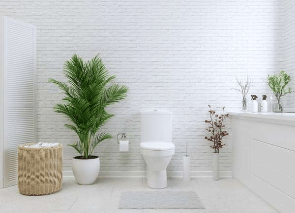 Plants for luxury Bathroom